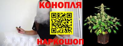 сатива Ливны
