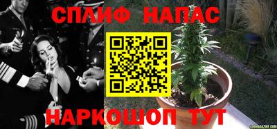 сатива Ливны