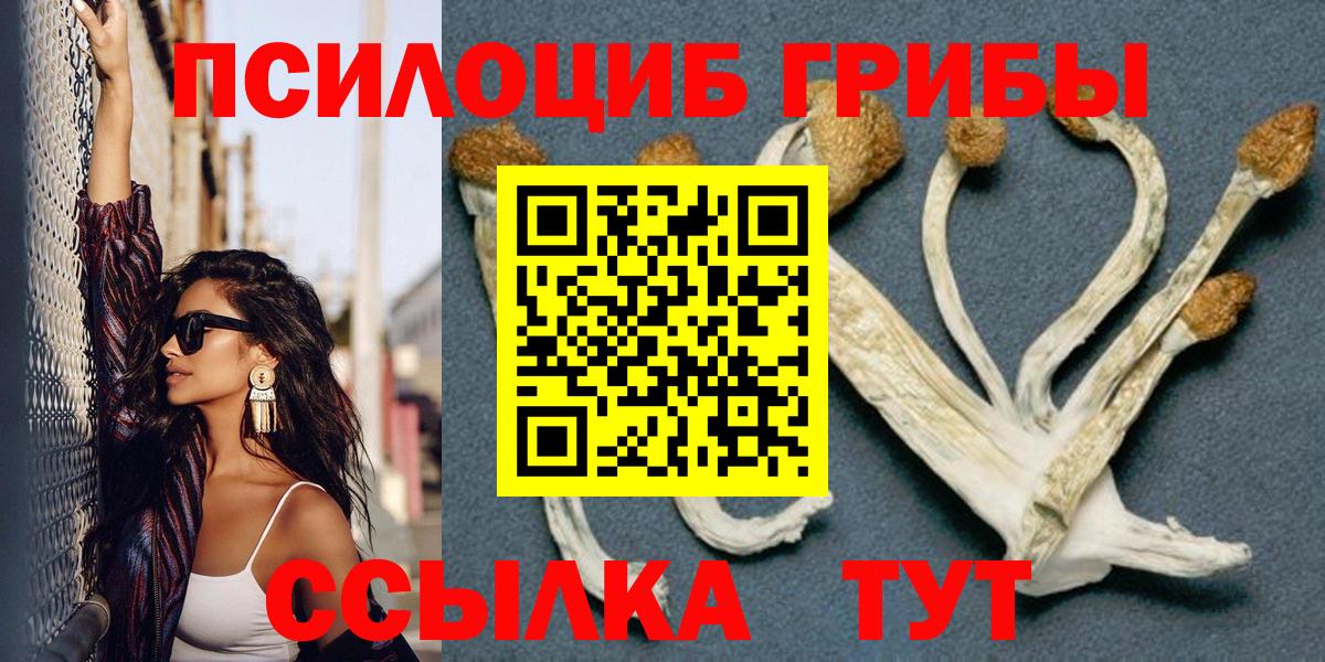 Галлюциногенные грибы ЛСД  Галлюциногенные грибы мицелий  Калининград  Вход с VPN 