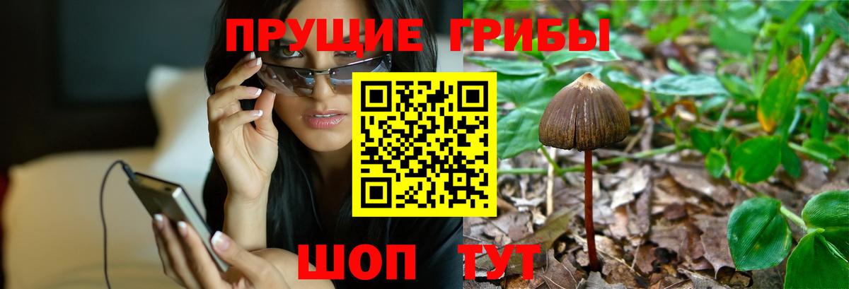 Галлюциногенные грибы Magic Shrooms Калининград